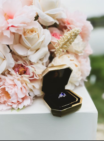 Romantic proposal setup